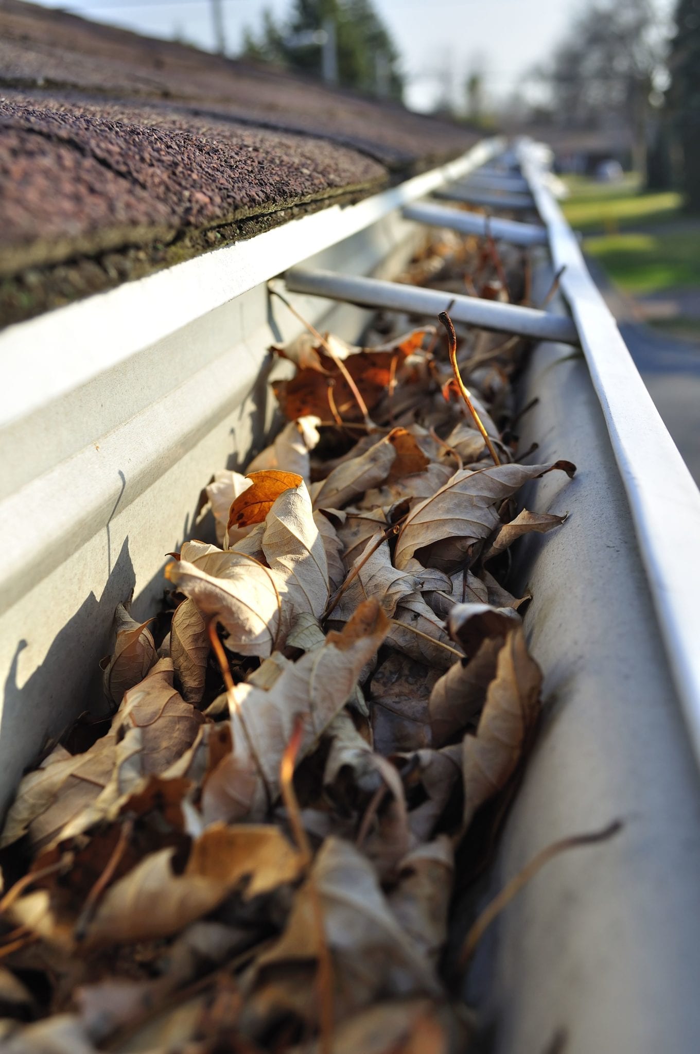 Gutter cleaning required 