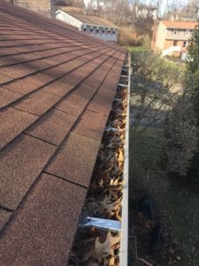Gutter Cleaning